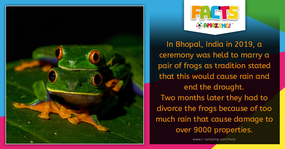 Frog Rain Fact